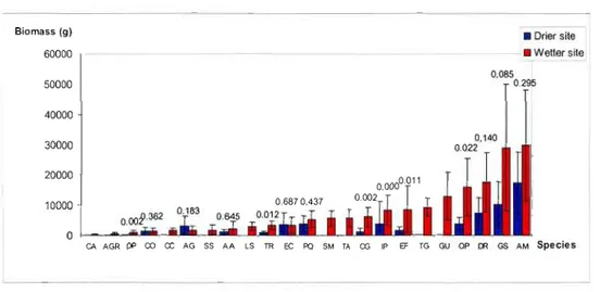 Figure  1.2:  Comparison of total  dry biomass per species between the  2  sites. The numbers above bars are post-hoc probabilities for site to  be  different