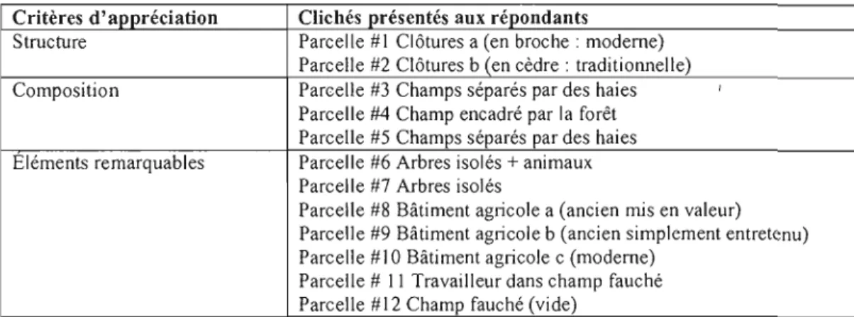 Tableau  16. Critères d'appréciation et clichés  associés 