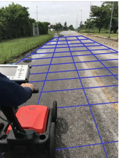 Figure 1.3:  A fictitious GPR mesh showing the line pattern followed by a GPR operator