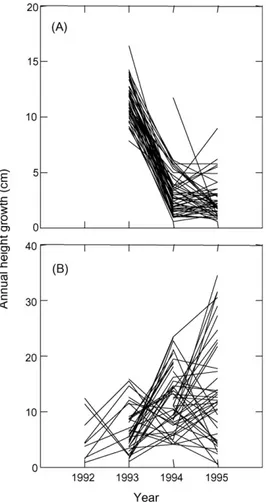 Fig. 2. Effect of defoliation treatment (performed in early June 1995) and beech origin on (A) height growth; (B) total lateral branch growth; and C) stem diameter growth recorded at the end of August 1995, on beech of seed and root sucker origin, 5–30 cm 
