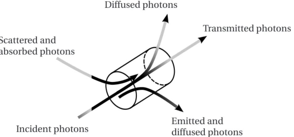 Figure 6.7: Possible interactions between a photon beam and a volume of gas.