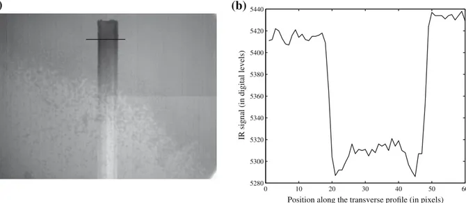 Fig. 4a shows a typical raw IR image obtained at the end of an evaporation experiment