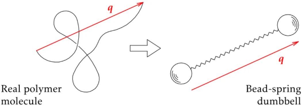 Figure 1.1 – Schematic representation of a real polymer molecule and its physical representation as a bead-spring dumbbell