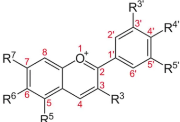 Figure 8. Cation flavylium (squelette de base de tous les anthocyanes) 