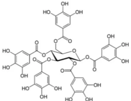 Figure 9. Exemple de tanin hydrolysable, penta-O-galloyl-D-glucose 