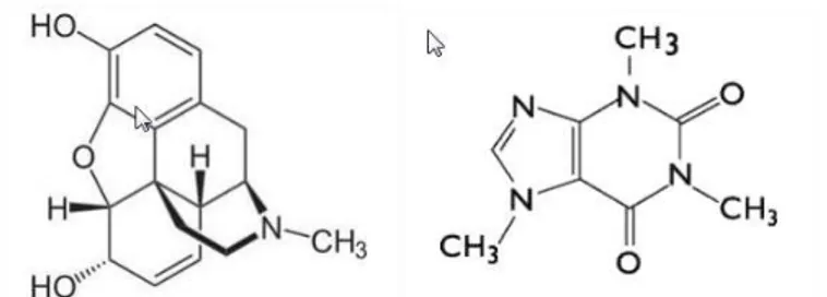 Figure 11. Structure de la morphine (à gauche) et de la caféine (à droite) 