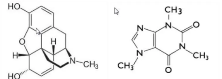 Figure 11. Structure de la morphine (à gauche) et de la caféine (à droite) 
