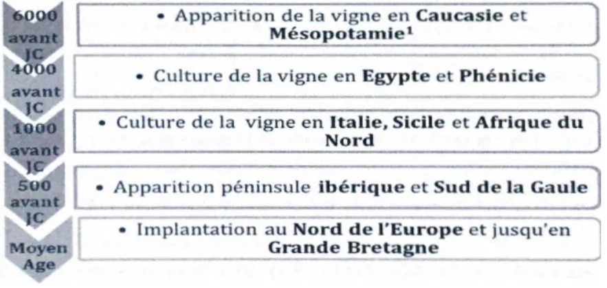 Figure 1: L'apparition du vin [4] 