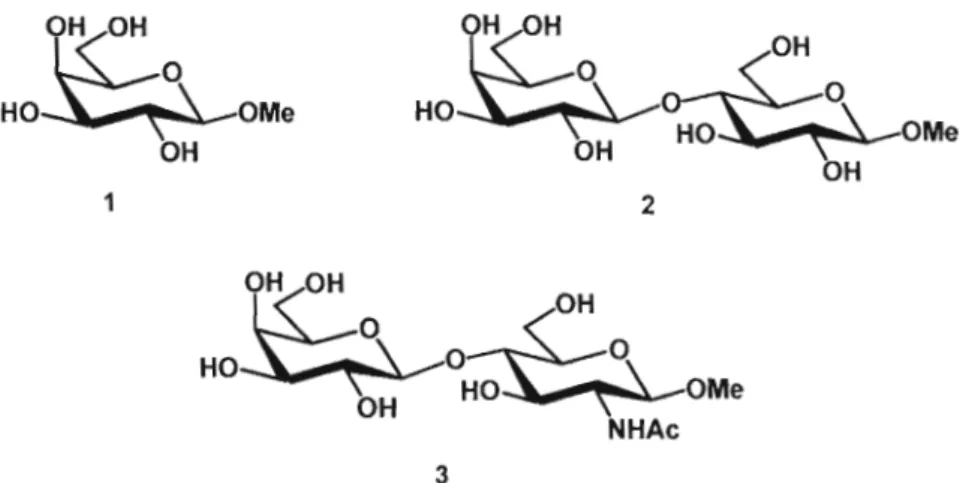 Figure 1.7 : Dérivés métbylés des ligands naturels de la galectine-3  utilisés comme  références:  le métbyl  ~-D-galactoside  (1), le métbyl  ~-D-Iactoside  (2)  et le  méthyl  N­