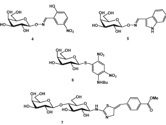 Figure 1.8 : Meilleurs inhibiteurs synthétiques de la galectine-3  basée sur la  modification de la position anomérique des ligands naturels 