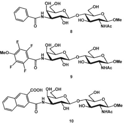 Figure 1.10 : MeiHeurs inhibiteurs synthétiques de la galectine-3 basée sur la  modification de la position C-3'  du méthyl N-acétyllactosamine (3) 