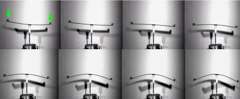 Fig 3: Oberst beam experimental set-up for the free-free beam excited at its centre. Half-period of the first mode is  visualized  from  several  successive  frames