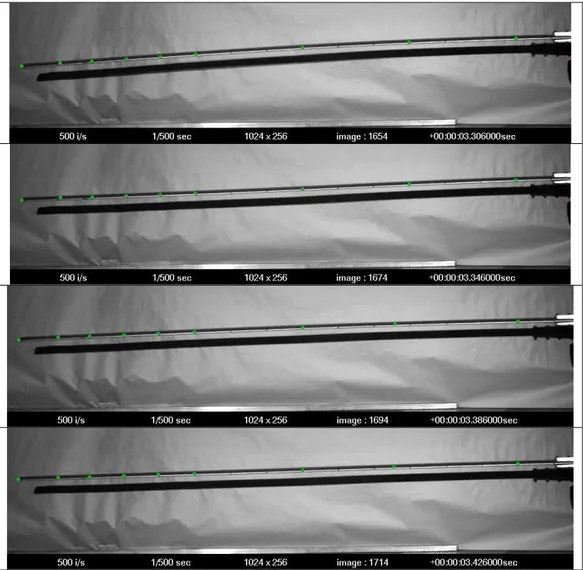 Fig 10: Half-period  is visualized from several successive frames. Virtual sensors are visualized with a small green  dot; displacement is measured in Y direction (green dots)