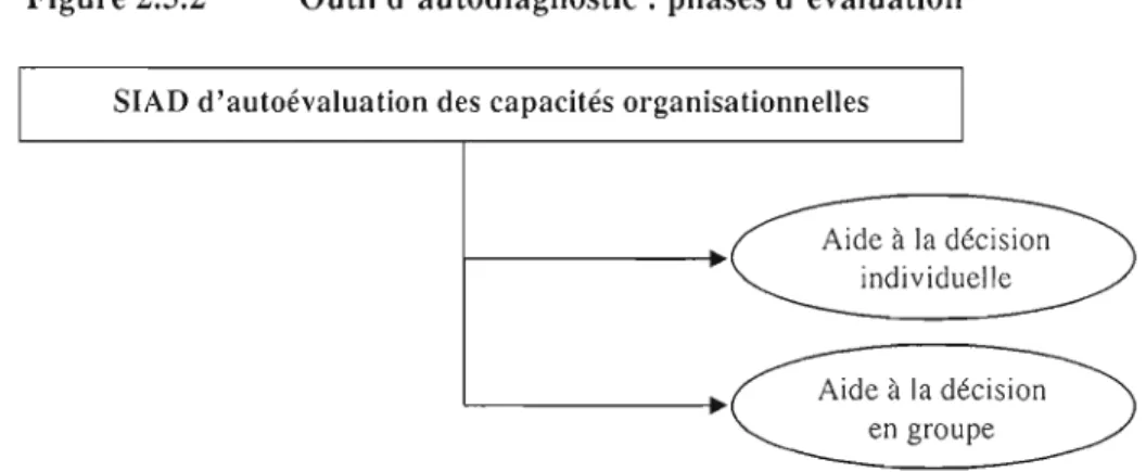 Figure 2.5.2  Outil  d'autodiagnostic : phases d'évaluation 