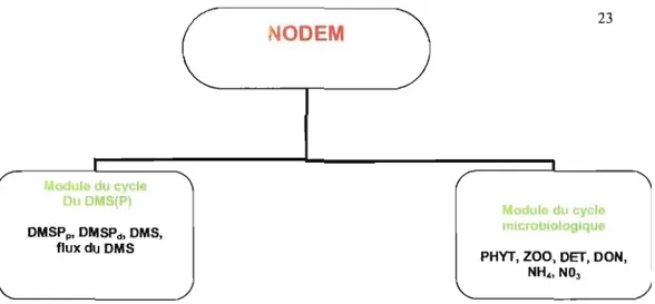 Figure 1.1  : La structure interne du modèle d'écosystème NODEM 