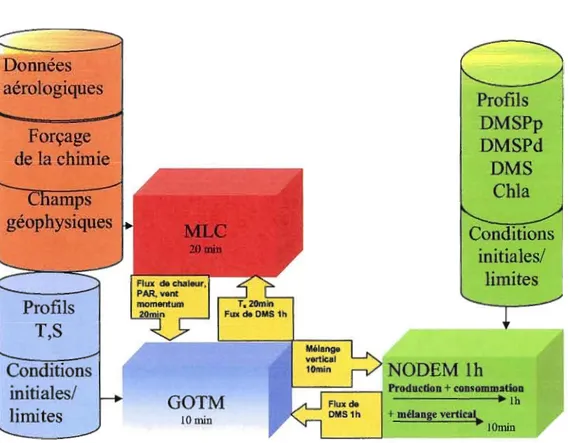 Figure 2.2: Schéma général du couplage NODEM-GOTM-MLC 