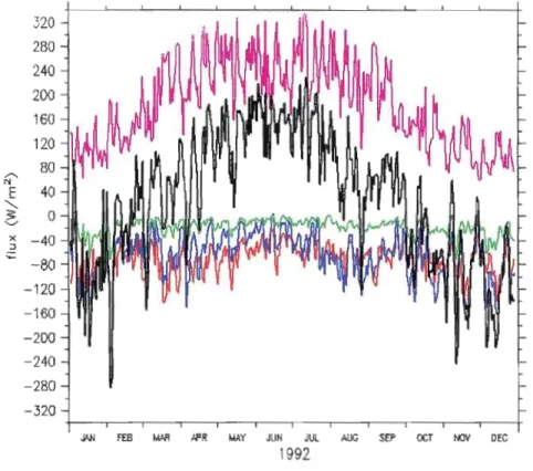 Figure  2.4  :  L'évolution  temporelle  annuelle  en  1992  du  flux  net  d'énergie  (noir),  flux  solaire absorbé (rose),  flux  infrarouge net  (rouge),  flux  de chaleur latente (bleu)  et du flux de chaleur sensible (vert)