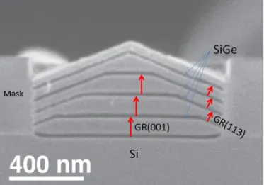 Figure I.14. SEM image recorded for the SAG of Si using a layer of SiGe as a marker [107]