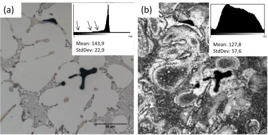 Figure 2-6: OM images of the specimen surface (a) before and (b) after etching  2.4.2  LFC alloy 