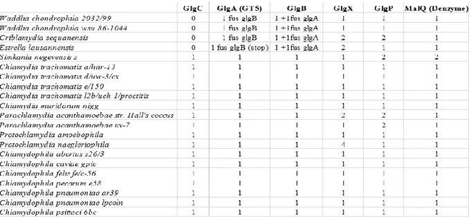 Table  1:  Glycogen  metabolism  enzymes  found  in  complete  genome  sequences  of  Chlamydiales