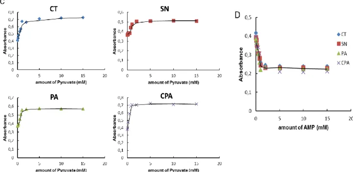 Figure 6: Characterization of the ADP-Pyrophosphorylase of Chlamydiales. The recombinant proteins  ofChlamydiae  trachomatis (CT),  Simkania  negevensis  (SN),  Parachlamydia  acanthamoeba  (PA)  and  Protochlamydia  amoebophila  (CPA)  were  expressed  in