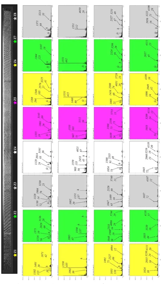 Figure 4.4: Comportement fréquentiel de la pièce (deuxième moitié de l’opération)