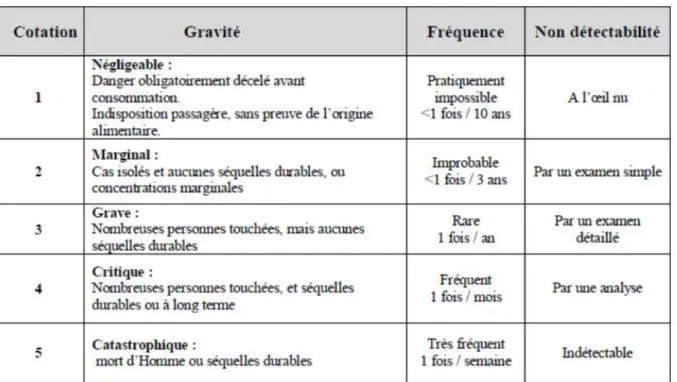 Figure	8:	Exemple	de	cotation	AMDEC	
