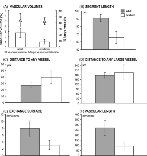 Fig. 4. Comparative data between adult and newborn vessel networks (means and standard deviations)