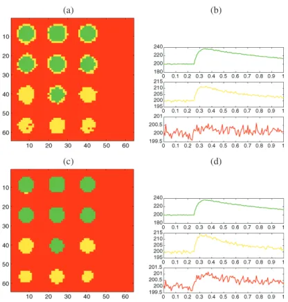 Figure 5. Whitcher image: (a) clustering and (b) average time curves for each cluster at the pixel scale, (c) clus- clus-tering and (d) average time curves for each cluster with a TI-RDP step.