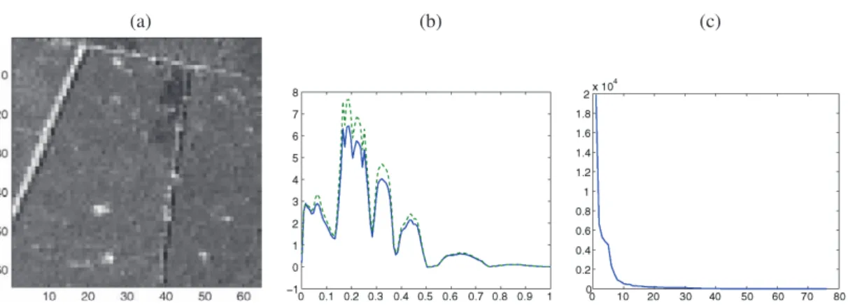 Figure 7. ONERA image: (a) a temporal slice, (b) noisy curves associated to two pixels, (c) sorted test statistics T 1 H , 