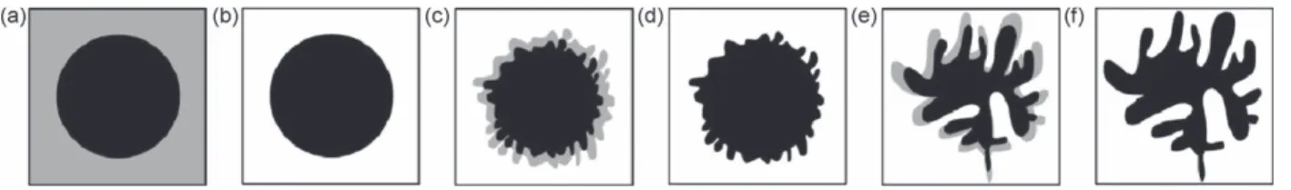 Fig. 2 shows 12 checkerboard patterns which are organized from left to right by the size of the pattern, and from top to bottom by the variation in concentration