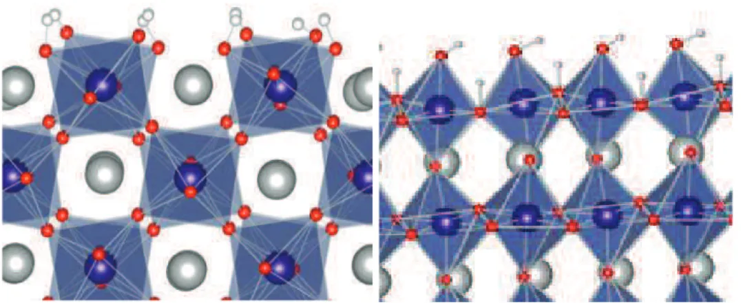 Figure 16 : Représentation en boule et bâton de la surface hydrate a) (121) and b)  (010) LFO surfaces; atomes blancs: H, Gris : Lanthane, violet: Fer, rouge: O  