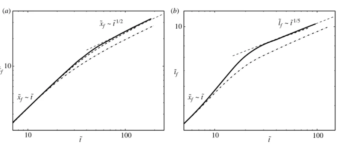 Figure 5. Comparison of the evolution of two- and three-dimensional currents at Re = 200 for a large release (LR) with ˜ L 0 = 17 (a) and a small release (SR) with ˜ L 0 = 1.72 (b) in a channel of aspect ratio A = 1: ——, two-dimensional current; – – –, thr