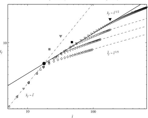 Figure 9. Evolution of the distance travelled by a two-dimensional numerical current corresponding to Re = 200 ( ˜ L 0c = 2.87) for various released volumes: , ˜L 0 	 1.52; , L˜ 0 	 2.56; , ˜L 0 	 4.04; O, ˜L 0 	 8.04, – · – · –, slumping phase (1.1); —