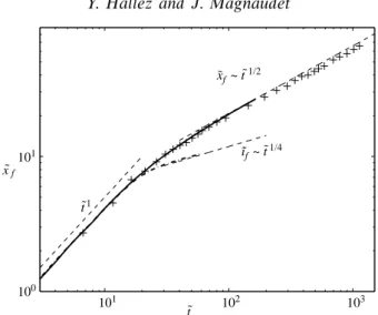 Figure 1. Evolution of the front position in a current resulting from a release in a cylindrical tube: – · – · –, computational result for a short release (˜L 0 = 1); ——: computational result for a symmetric release (here ˜ L 0 = 17); + + +, experimental d