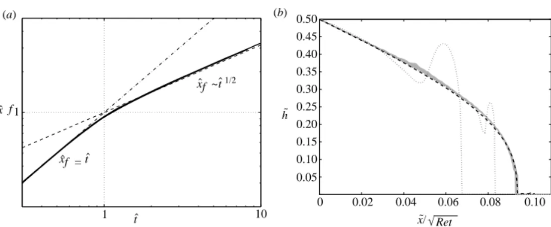 Figure 2. (a) Evolution of the front position in a two-dimensional current reaching the LR viscous regime: computational results for Re = 200, 400, 600 and 790 (black lines) all collapse on the master curve deﬁned by ˆx f = ˆt for ˆt < 1 and ˆx f = ˆt 1