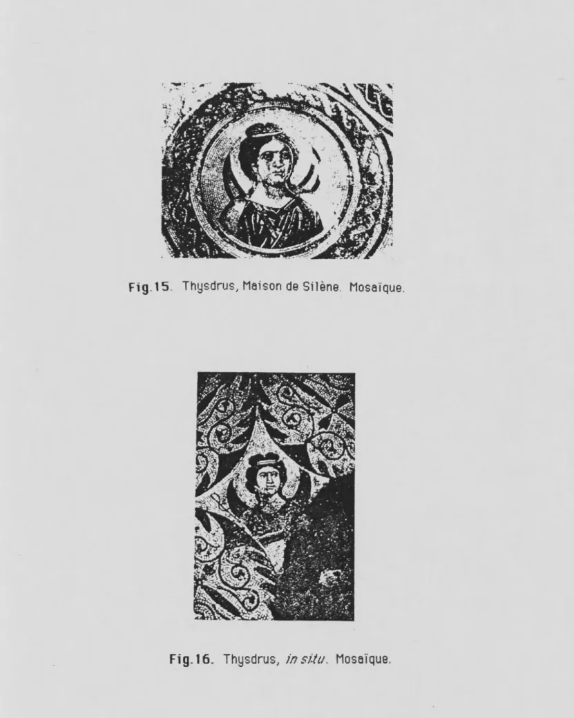 Fig 15  Thysdrus, Maison de Silène. Mosaïque.