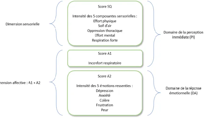 Figure 1. Composantes de la dyspnée du questionnaire MDP (31) 