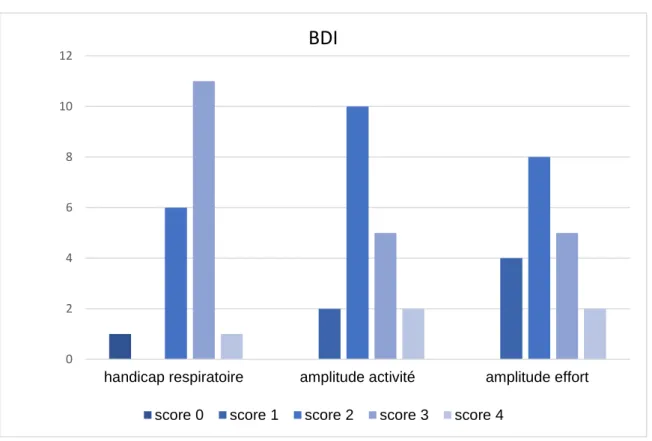 Figure 3. Scores du questionnaire BDI 