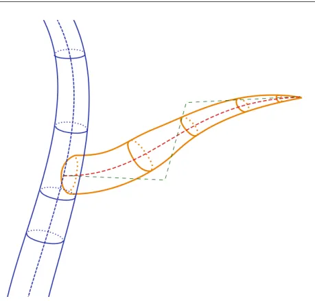 Figure 2.4 – Generalized Cylinder with Radius along the branch.