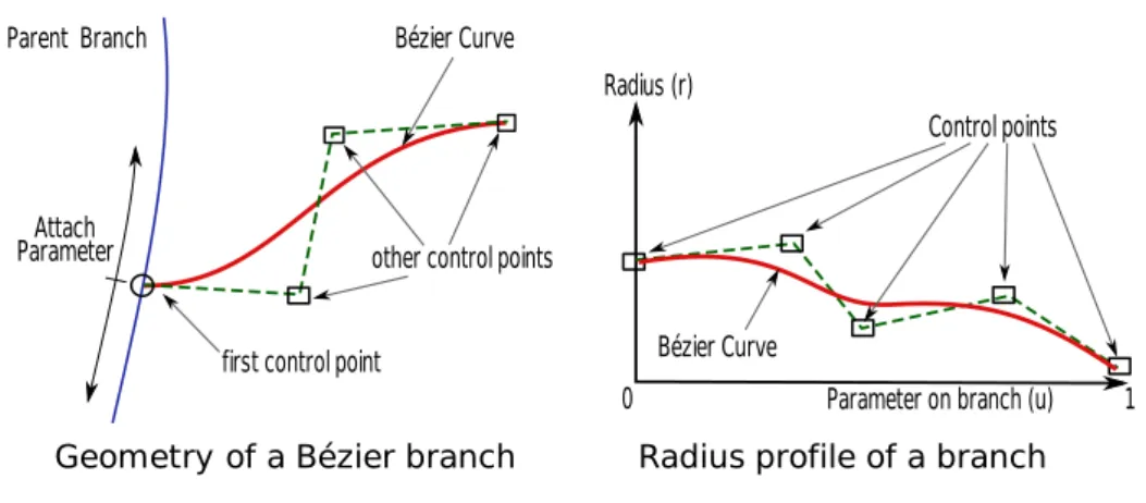 Figure 2.6 – On the left, the Bézier curve representing a branch with its attachment parameter (u) on its parent branch
