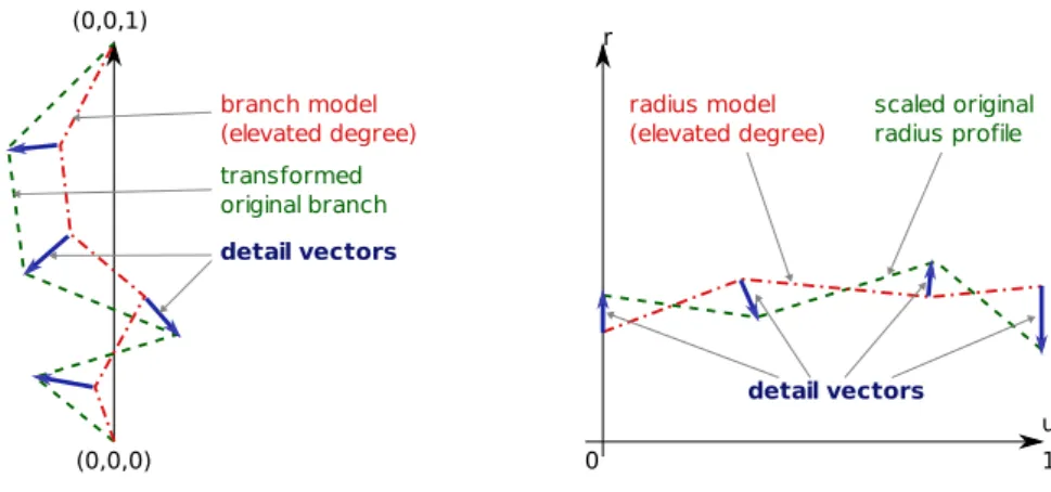 Figure 2.12 – Definition of the detail vectors for branches (left) and radii (right). In green regular dash, an original curve after normalization transformation, and in red irregular dash, the model curve of its group after optional degree re-elevation