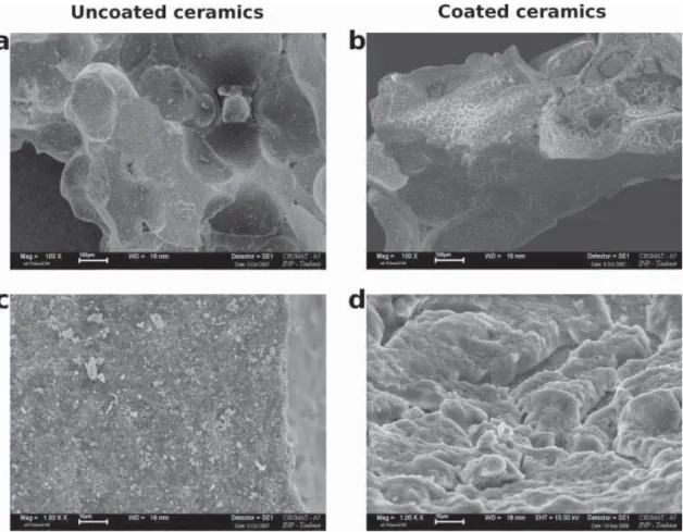 Figure 1. SEM micrographs of uncoated [magniﬁcation 3100 (a) and 31000 (c)] and coated granules [magniﬁcation 3100 (b) and 1000 (d)]