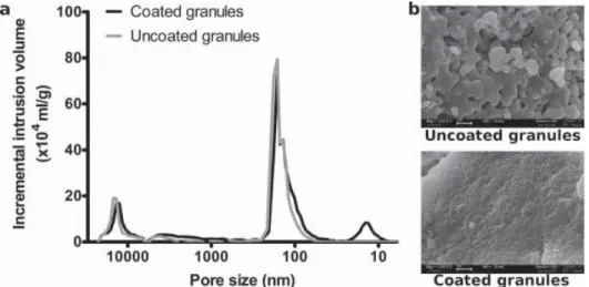Figure 6. Adsorption of rhBMP-2 on uncoated and coated granules as a function of time.
