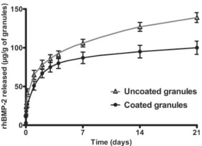 Figure 8. Cumulative release of rhBMP-2 adsorbed on uncoated and coated granules after immersion for 24 h in a 300 lg/mL rhBMP-2 solution.