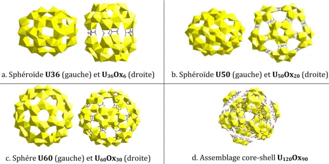 Figure 22 : Clusters peroxo-oxalates d’uranyle U 36 Ox 6  - U 50 Ox 20  - U 60 Ox 30  et U 120 Ox 90