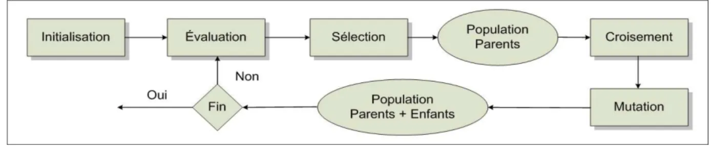 Figure 2.7.  Algorithme évolutionnaire 