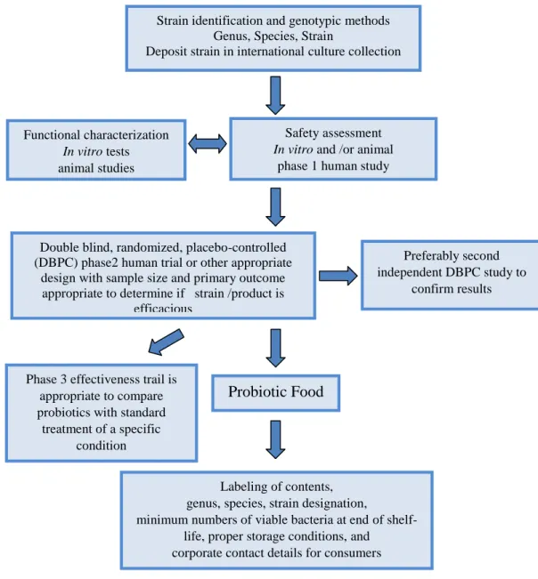 Fig. 5. Guidelines for the Evaluation of Probiotics for Food Use [FAO/WHO, 2002] 