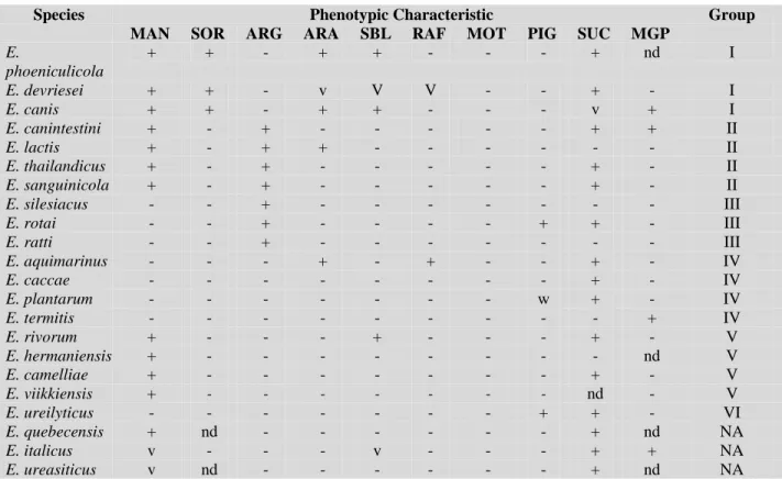 Table 3: Phenotypic properties of recently identified Enterococcus species [Lebreton et al