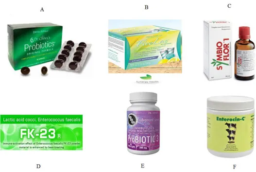 Fig.  13.  Some  commercial  products  of  Enterococcus  faecalis  validated  as  probiotics